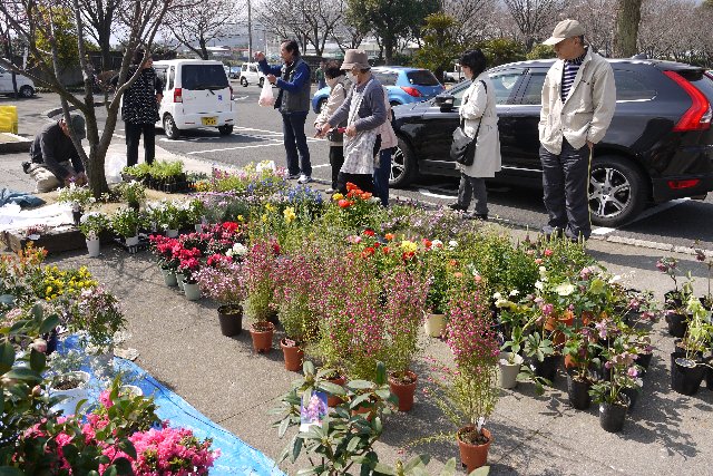 flower market