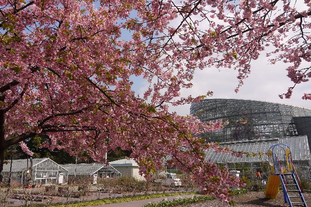 Odawara_Botanical_Garden